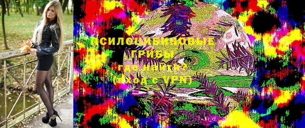 индика Нея