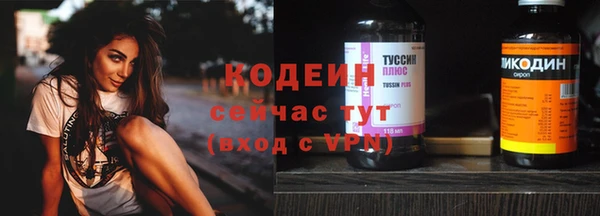 индика Нея
