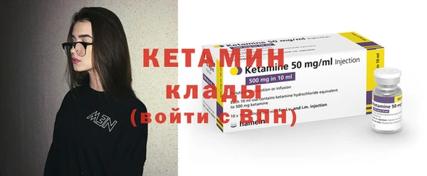 ешки Алексин