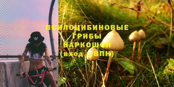 индика Нея