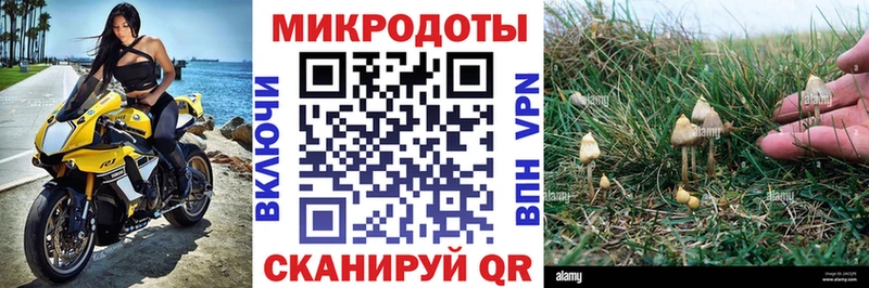 Галлюциногенные грибы прущие грибы Обоянь